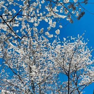 Meet your Posher, Arya